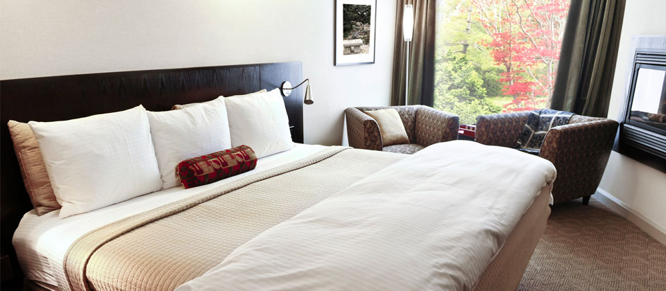 网站攻击软件工具